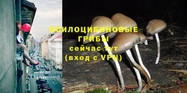 каннабис Алзамай
