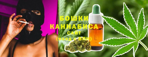 2c-b Козловка