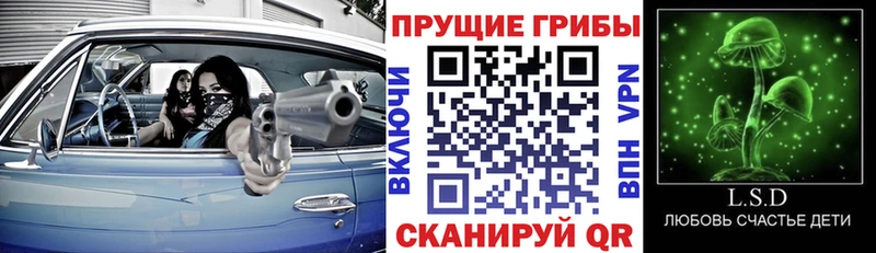 MEGA маркетплейс Любань Псилоцибиновые грибы ЛСД где можно купить